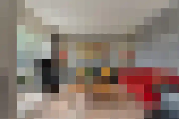 Zaaimansakker 27 Dedemsvaart thumbnail 10