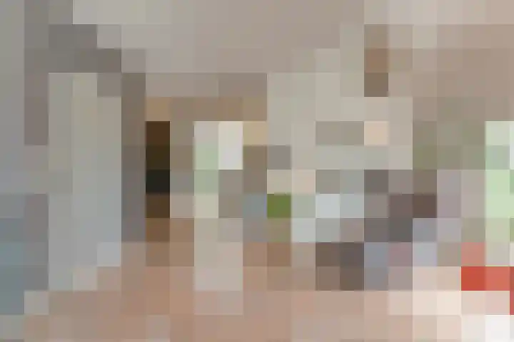 Zaaimansakker 27 Dedemsvaart thumbnail 14