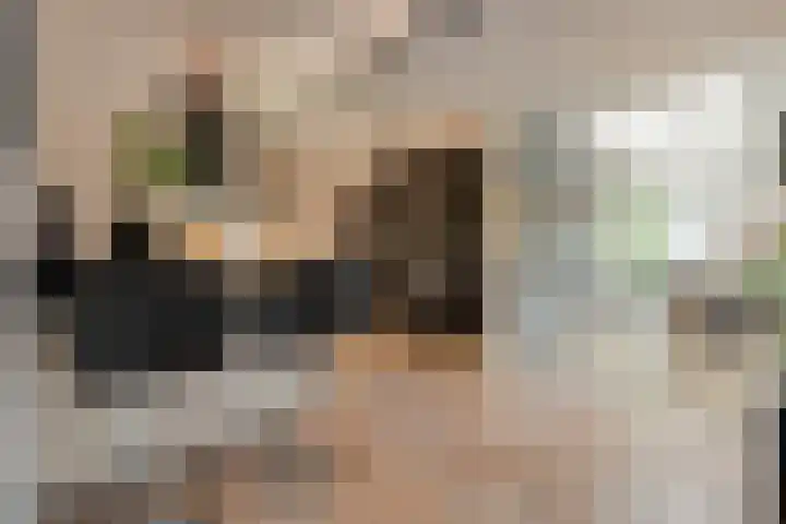 Zaaimansakker 27 Dedemsvaart thumbnail 16