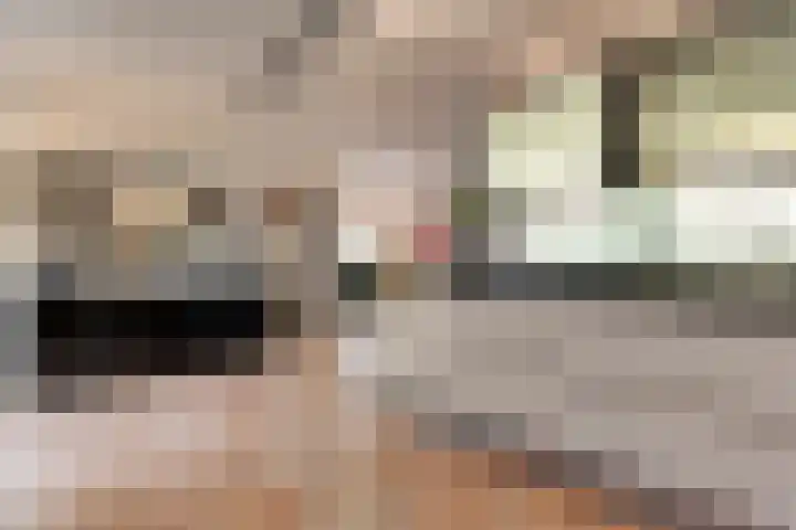 Zaaimansakker 27 Dedemsvaart thumbnail 19
