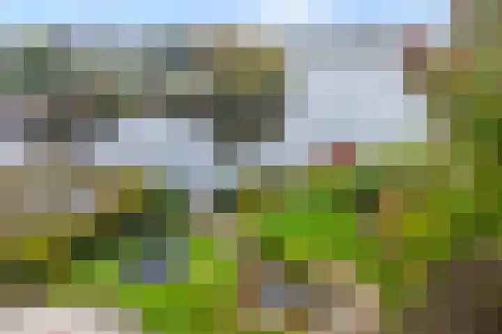 Zaaimansakker 27 Dedemsvaart foto 2