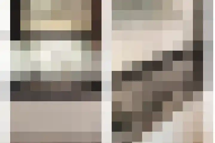 Zaaimansakker 27 Dedemsvaart thumbnail 20