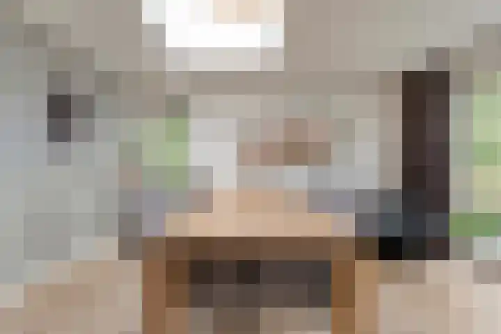 Zaaimansakker 27 Dedemsvaart thumbnail 22