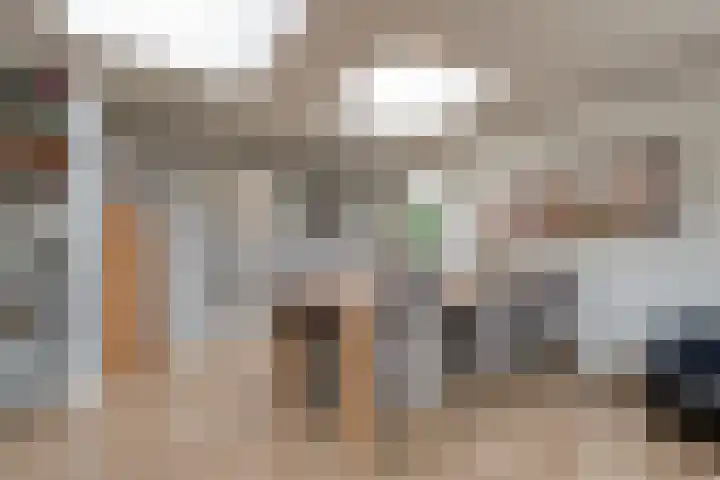 Zaaimansakker 27 Dedemsvaart thumbnail 23