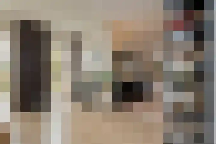 Zaaimansakker 27 Dedemsvaart thumbnail 24