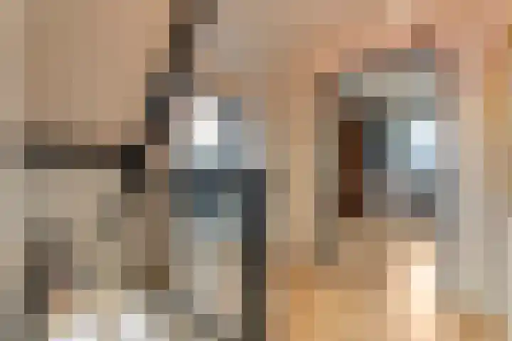 Zaaimansakker 27 Dedemsvaart thumbnail 30