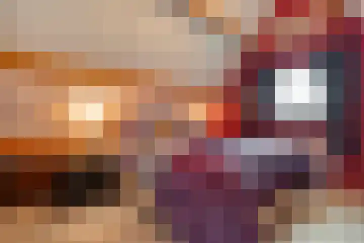 Zaaimansakker 27 Dedemsvaart thumbnail 39