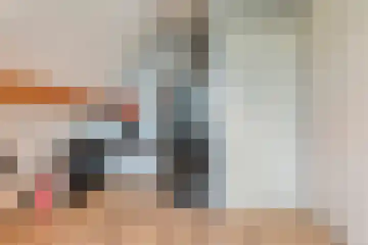 Zaaimansakker 27 Dedemsvaart thumbnail 43