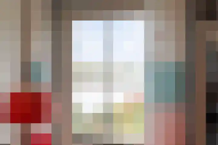 Zaaimansakker 27 Dedemsvaart thumbnail 44