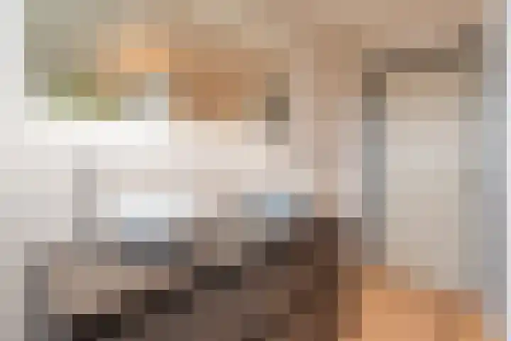 Zaaimansakker 27 Dedemsvaart thumbnail 49