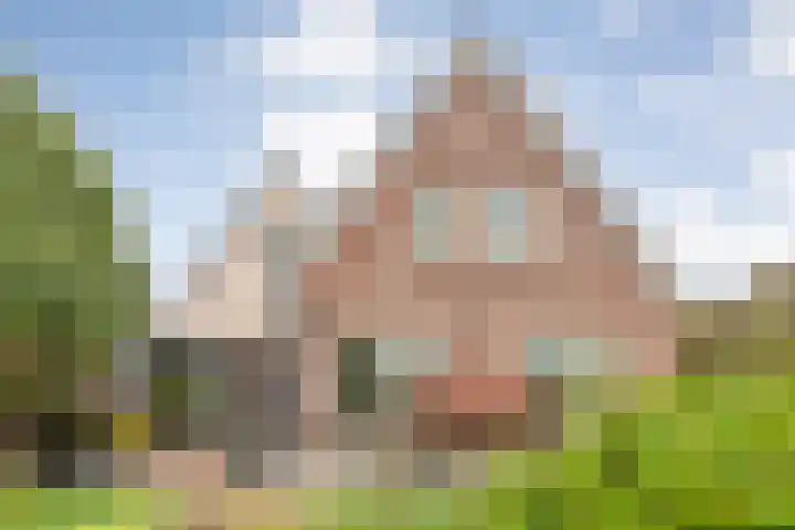 Zaaimansakker 27 Dedemsvaart thumbnail 52