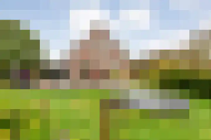 Zaaimansakker 27 Dedemsvaart thumbnail 63