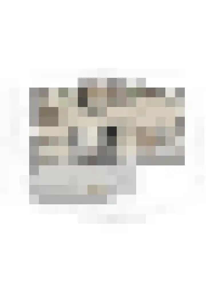 Zaaimansakker 27 Dedemsvaart thumbnail 69