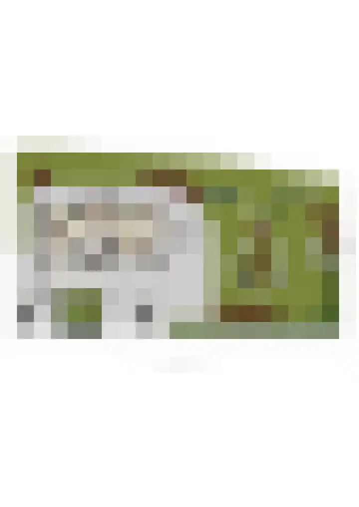 Zaaimansakker 27 Dedemsvaart thumbnail 72