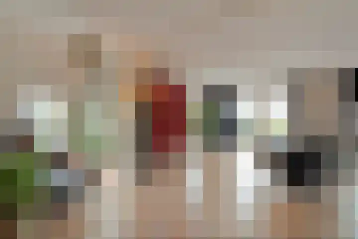 Zaaimansakker 27 Dedemsvaart thumbnail 8