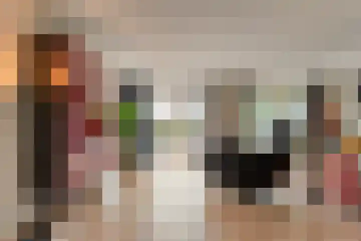 Zaaimansakker 27 Dedemsvaart thumbnail 9
