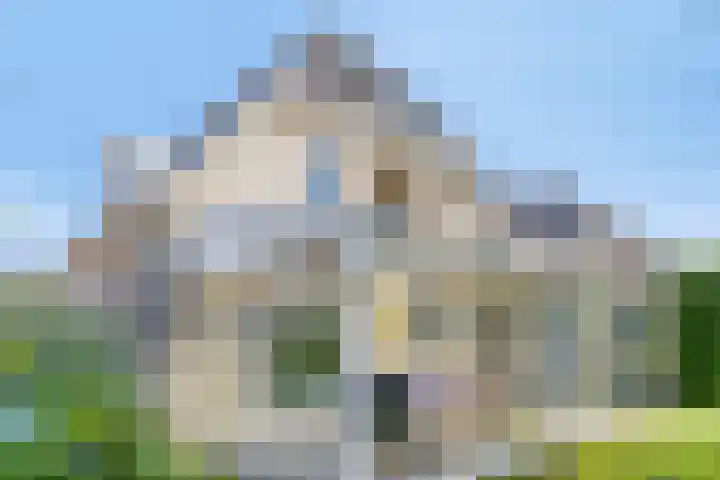 Zaaiviool 10 Berghem thumbnail 35
