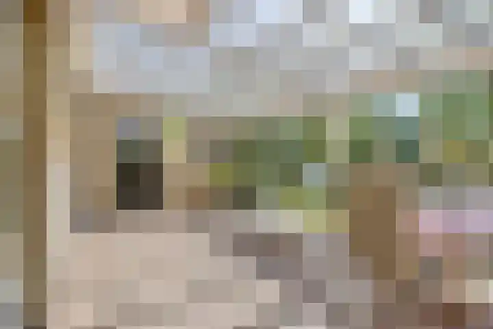 Zaaiviool 10 Berghem thumbnail 37