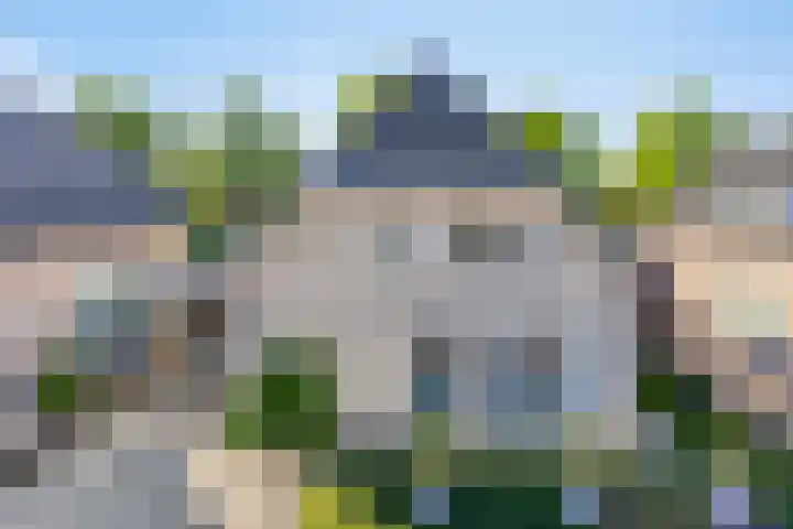 Zaaiviool 10 Berghem thumbnail 43
