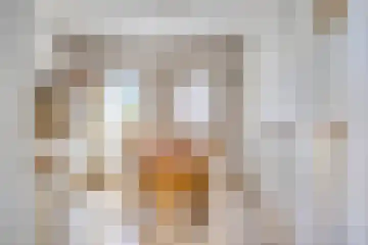 Zaaiviool 10 Berghem thumbnail 9