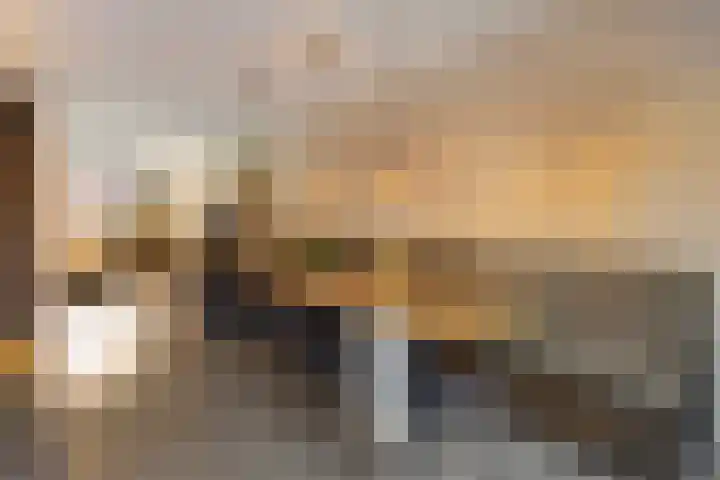 Zaalbospad 36 Velp thumbnail 10