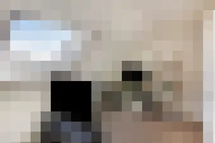 Zaalbospad 36 Velp thumbnail 27