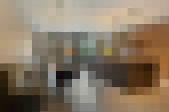 Zaalbospad 36 Velp thumbnail 5