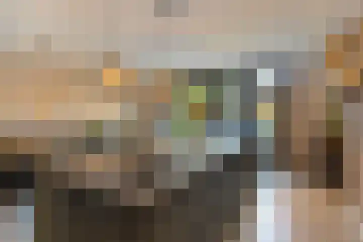 Zaalbospad 36 Velp thumbnail 7
