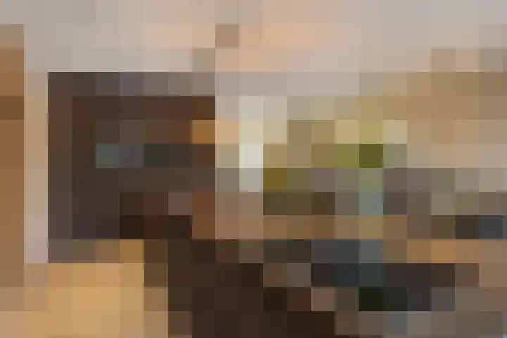 Zaalbospad 36 Velp thumbnail 8