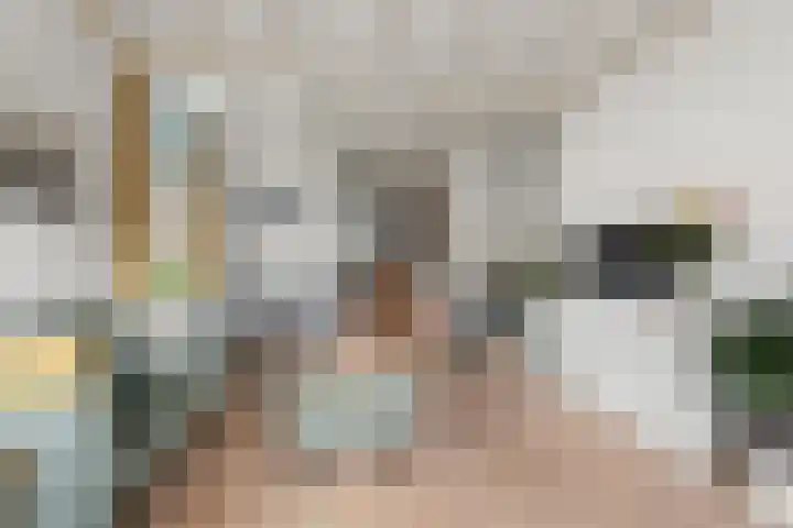 Zaalbospad 5 Velp thumbnail 16