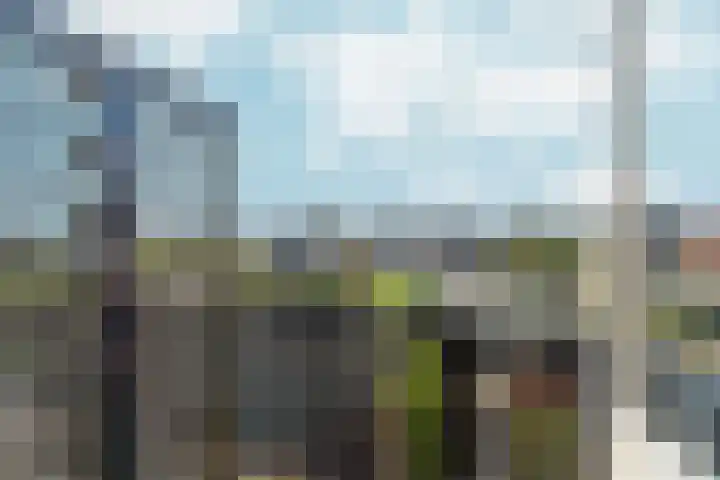 Zaalbospad 5 Velp thumbnail 27