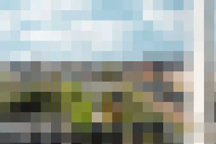 Zaalbospad 5 Velp thumbnail 28