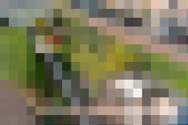Zaalbospad 5 Velp thumbnail 29