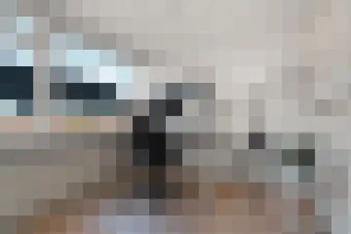 Zaalbospad 5 Velp thumbnail 32