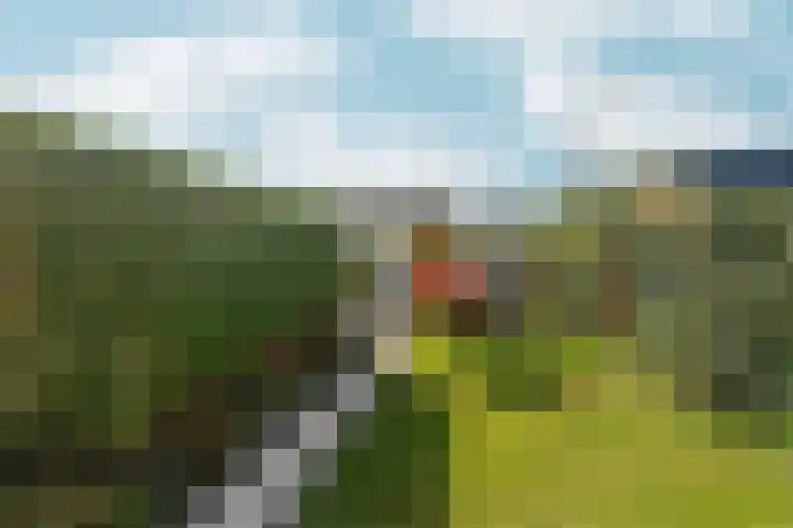 Zaalbospad 5 Velp thumbnail 38