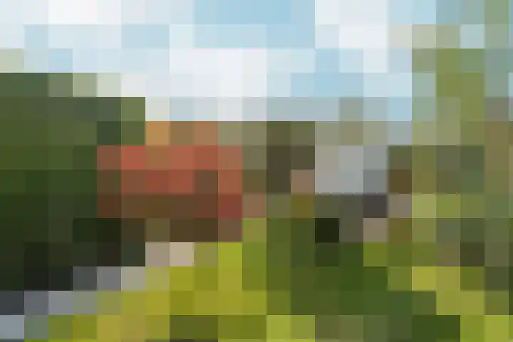 Zaalbospad 5 Velp thumbnail 39