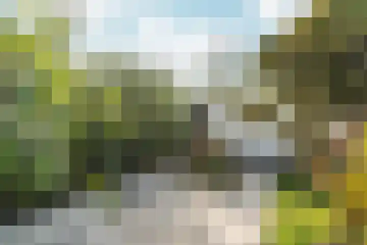 Zaalbospad 5 Velp thumbnail 41