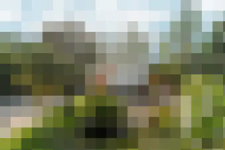 Zaalbospad 5 Velp thumbnail 42
