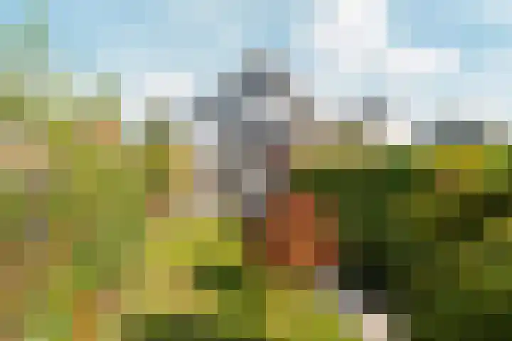 Zaalbospad 5 Velp thumbnail 43