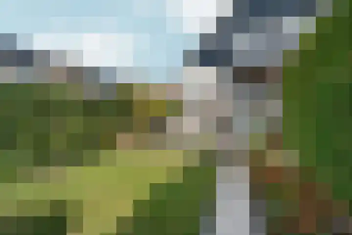 Zaalbospad 5 Velp thumbnail 44