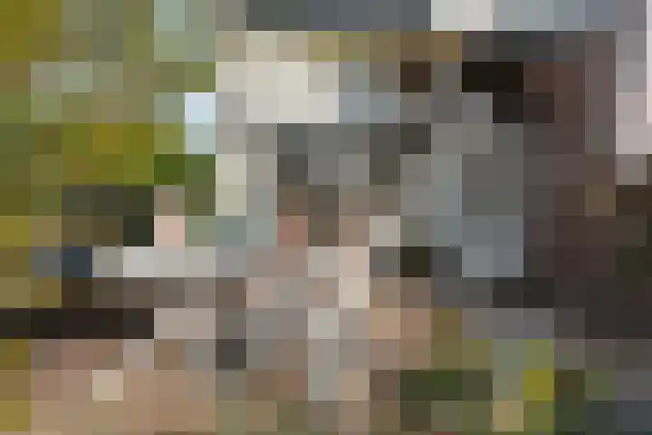 Zaalbospad 5 Velp thumbnail 46