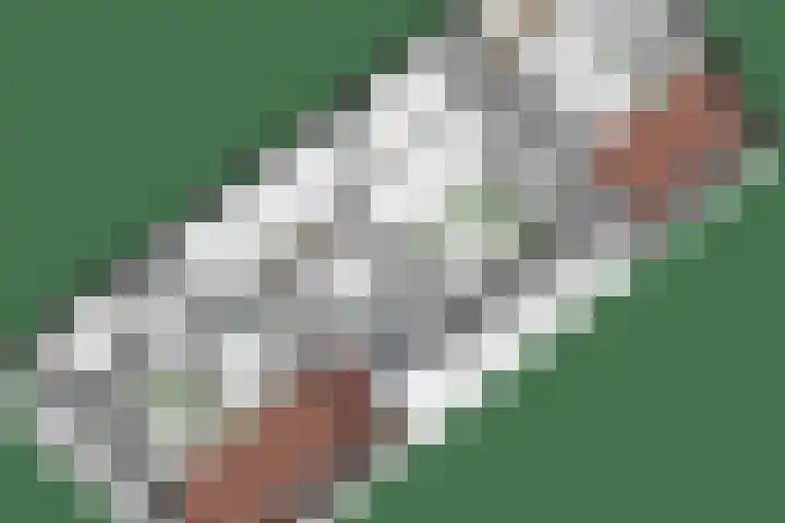 Zaalbospad 5 Velp thumbnail 51