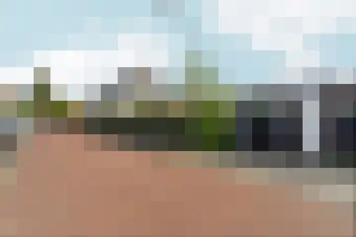 Zaalbospad 5 Velp thumbnail 7