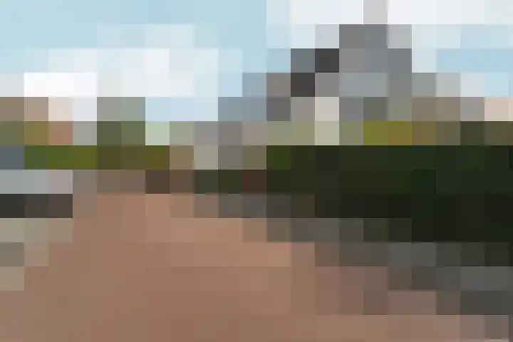 Zaalbospad 5 Velp thumbnail 8