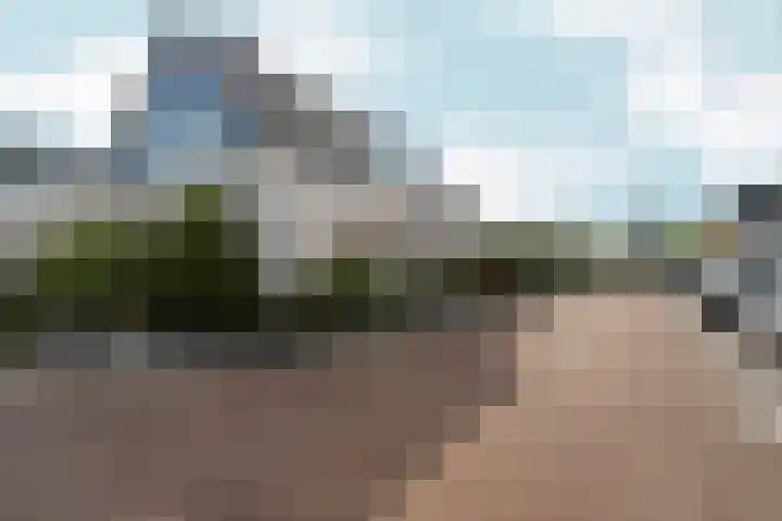 Zaalbospad 5 Velp thumbnail 9