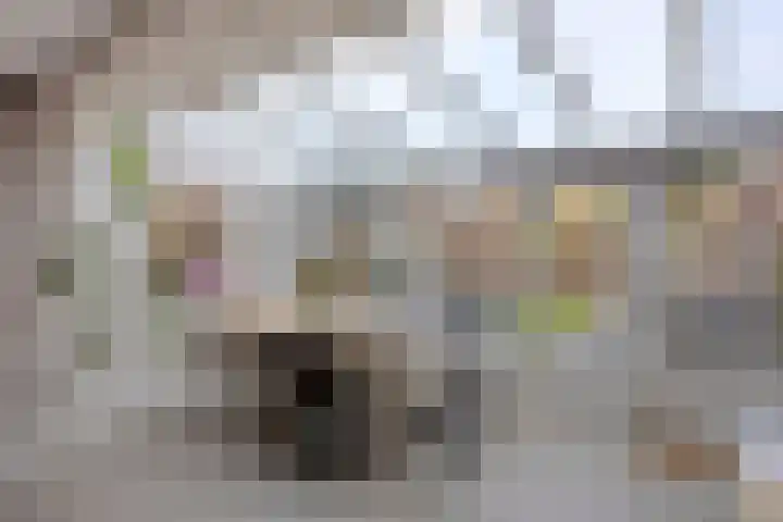 Zaan 20 Pijnacker thumbnail 10