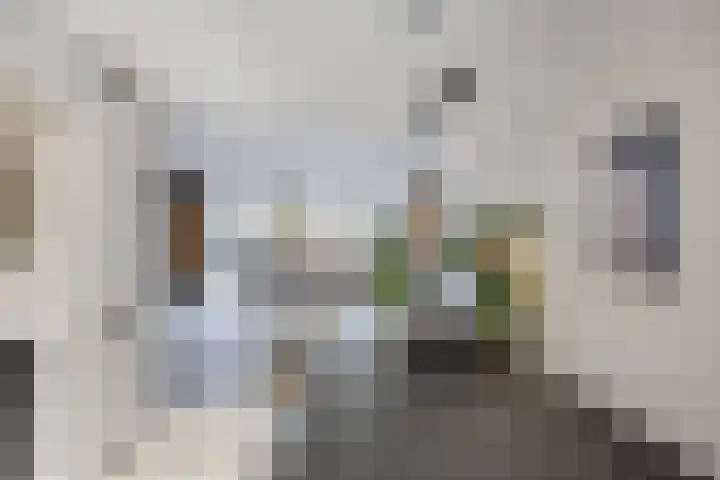 Zaan 20 Pijnacker thumbnail 15