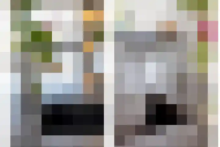 Zaan 20 Pijnacker thumbnail 16