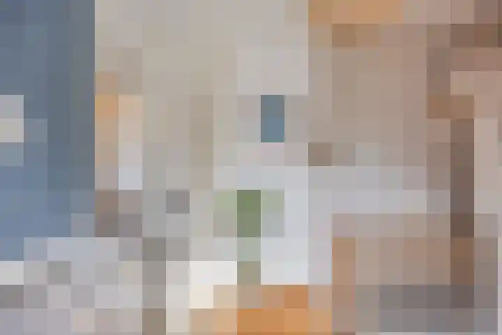 Zaan 20 Pijnacker thumbnail 24