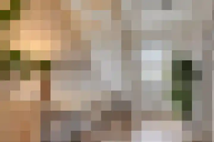 Zaan 20 Pijnacker thumbnail 26